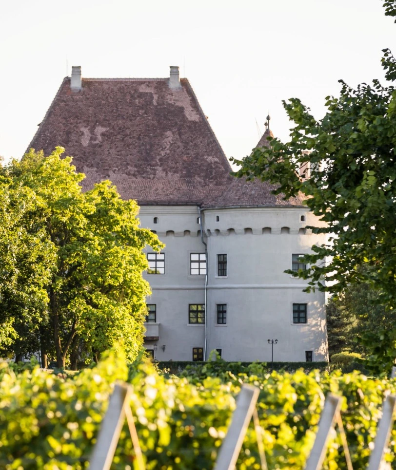Castel Jidvei
