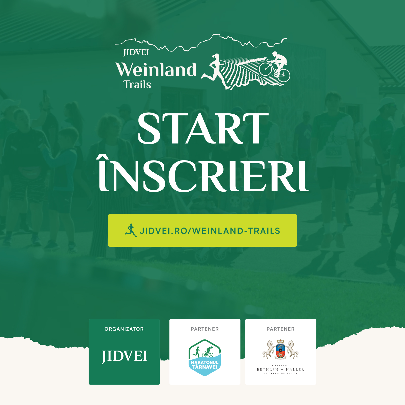 Descoperă Țara Vinului în alergare! Jidvei Weinland Trails 2024, un concurs caritabil cu rute inedit gândite printre vii