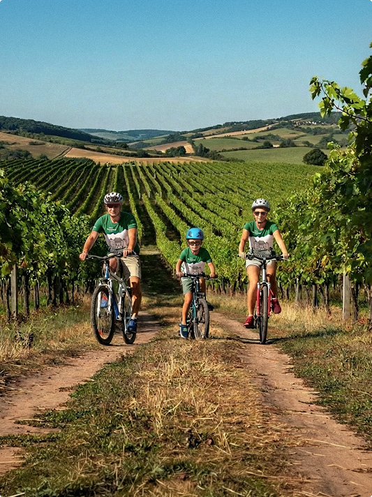 Familie cu biciclete pe un drum printre vii, Jidvei