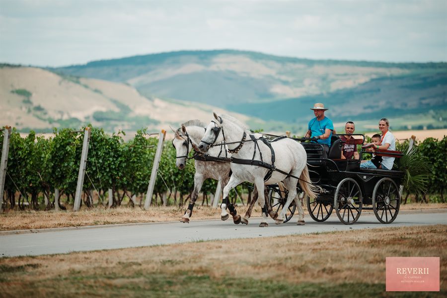 Plimbare cu trăsura